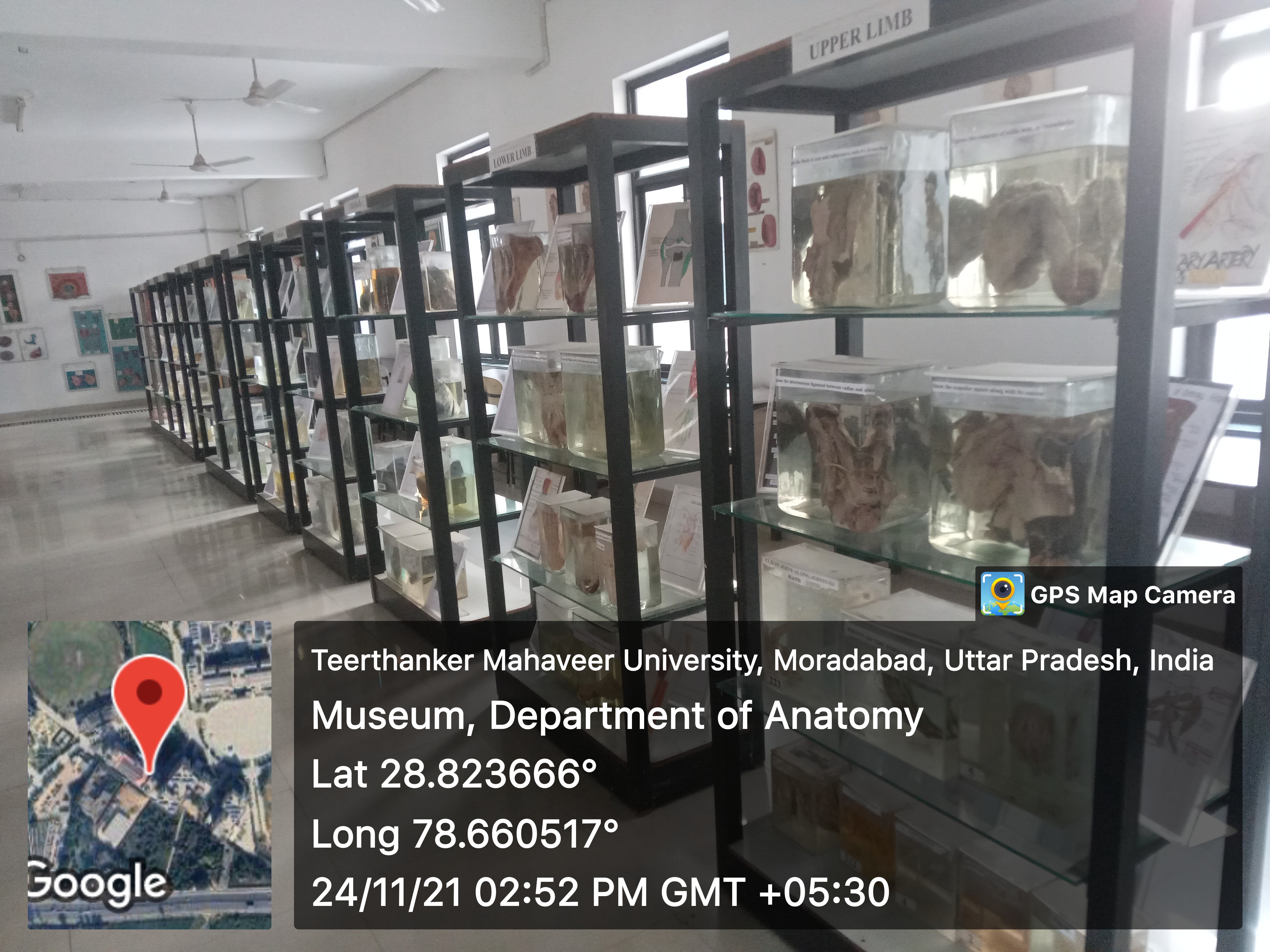 Medical Museum