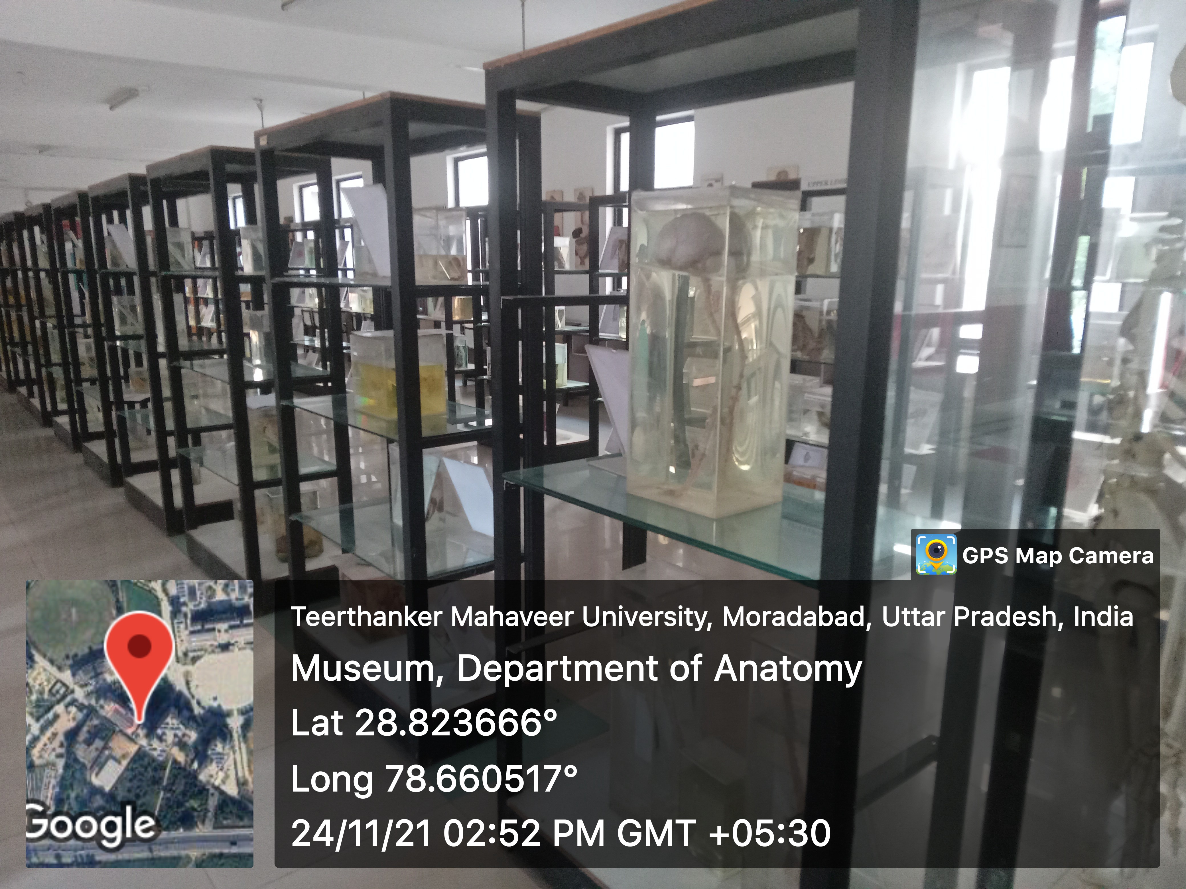 Medical Museum