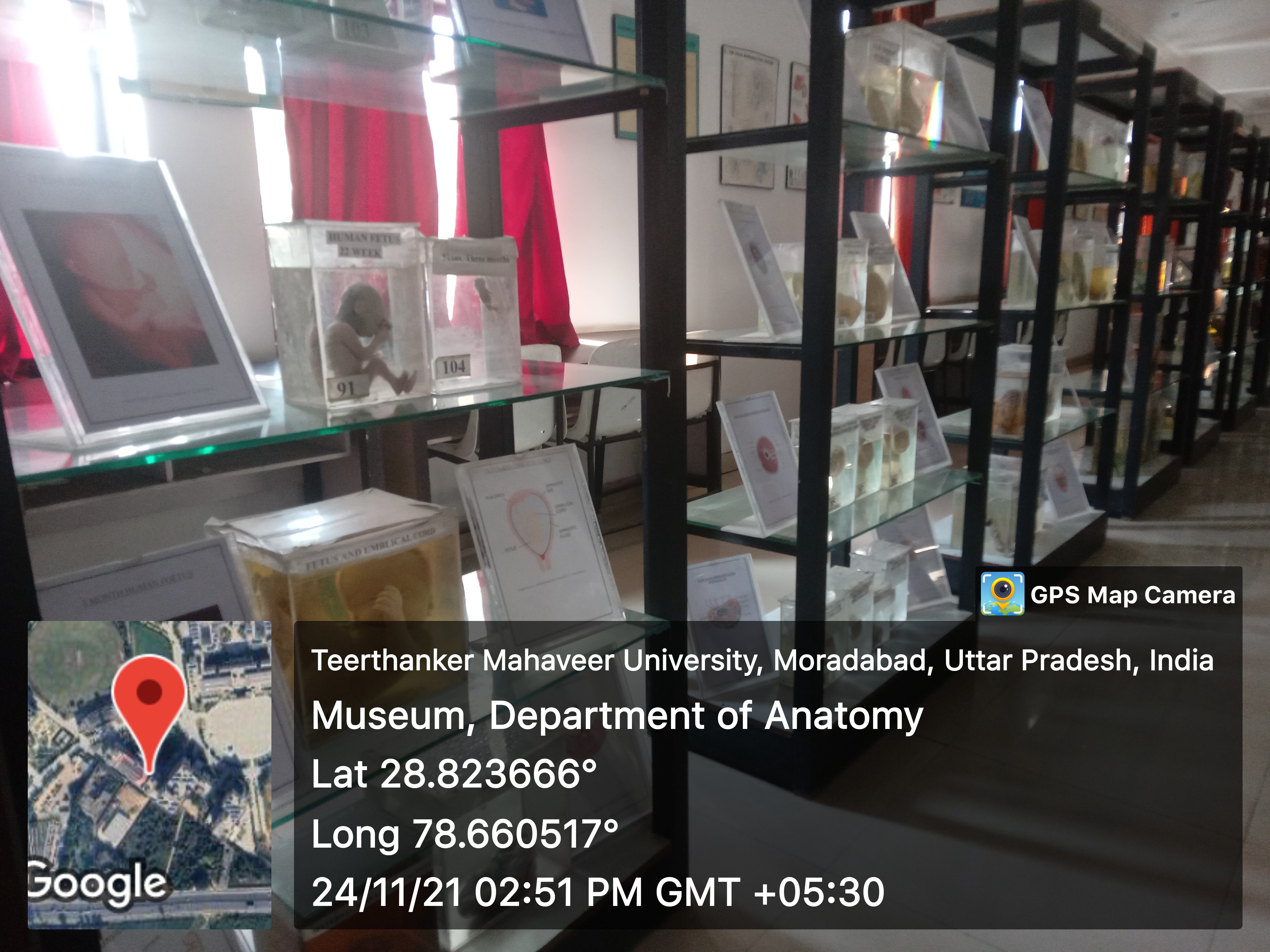 Medical Museum