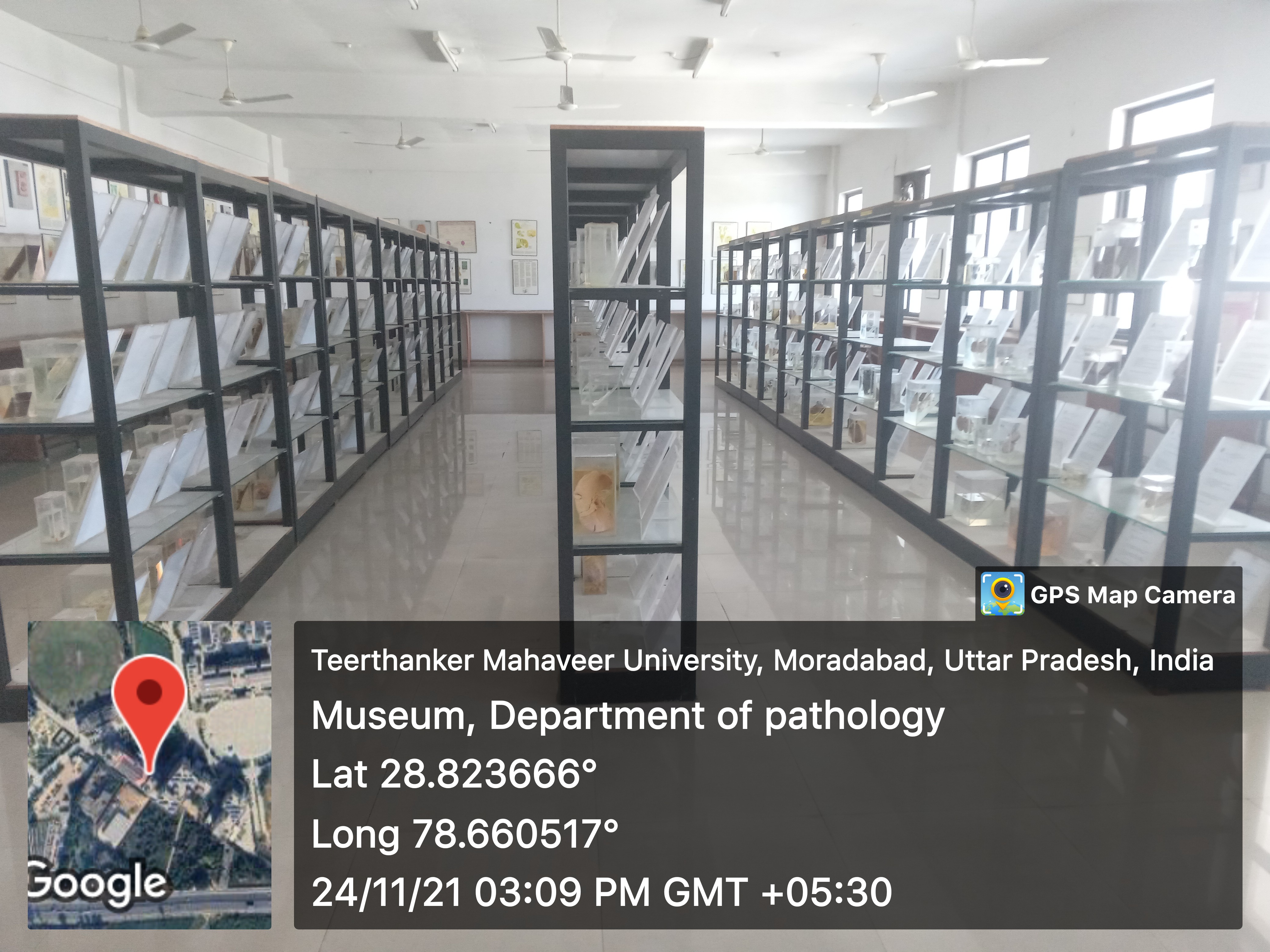 Medical Museum