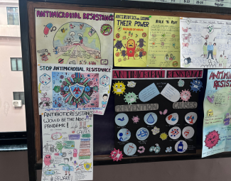 antibiotic awareness at TMU